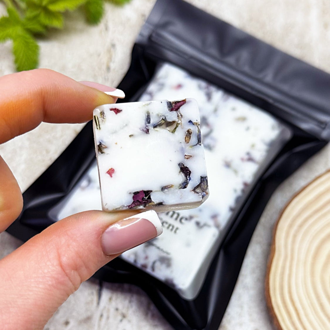Close-Up of Hand Holding a Single Botanical Coconut Milk & Patchouli Wax Melt Cube with Visible Dried Petals, Pack in Background