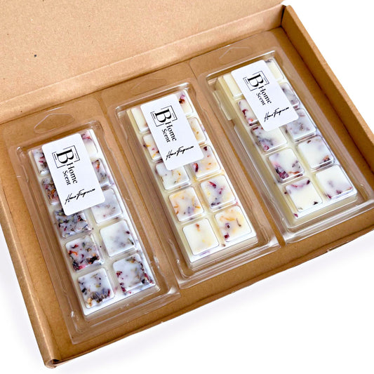 Autumn Wax Melt Snap Bar Collection by BHOMESCENT – three botanical snap bar wax melts in clear packaging inside a kraft gift box