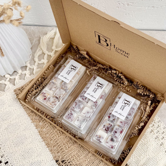 Summer wax melt snap bar collection in gift box with botanical wax melts